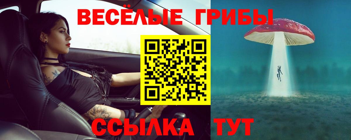 Галлюциногенные грибы Cubensis  Псилоцибиновые грибы MAGIC MUSHROOMS  Камышлов  Вход с VPN 